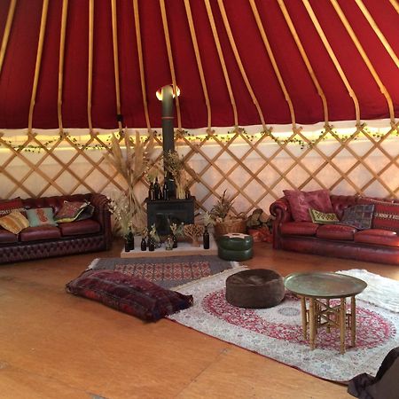 צ'יצ'סטר Silver Airstream Glamping & Rental מראה חיצוני תמונה