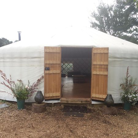 צ'יצ'סטר Silver Airstream Glamping & Rental מראה חיצוני תמונה