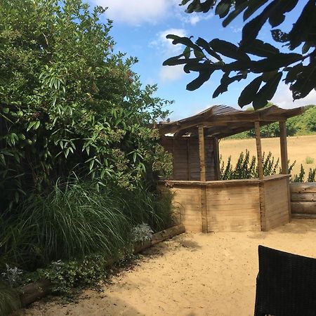 צ'יצ'סטר Silver Airstream Glamping & Rental מראה חיצוני תמונה