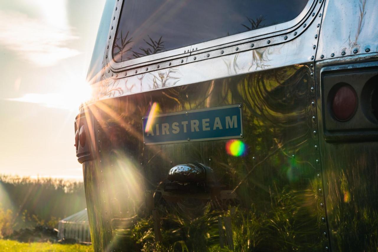 צ'יצ'סטר Silver Airstream Glamping & Rental מראה חיצוני תמונה